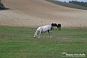 VBS_7535 - Andare lontano, oltre i campi da arare... e ancora più in là